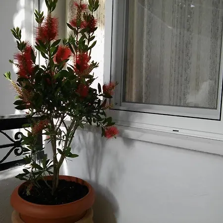 Apartamento Maria And *
